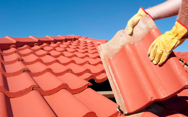 Roof Types